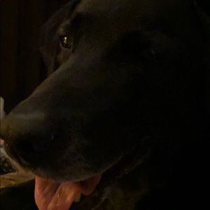 Meet your Posher, Lori